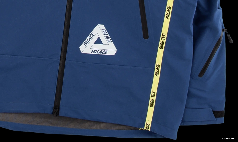 Affordable Palace Gore-Tex Jacket Palex 0804